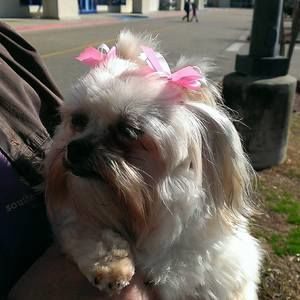 Meet your Posher, Teresa